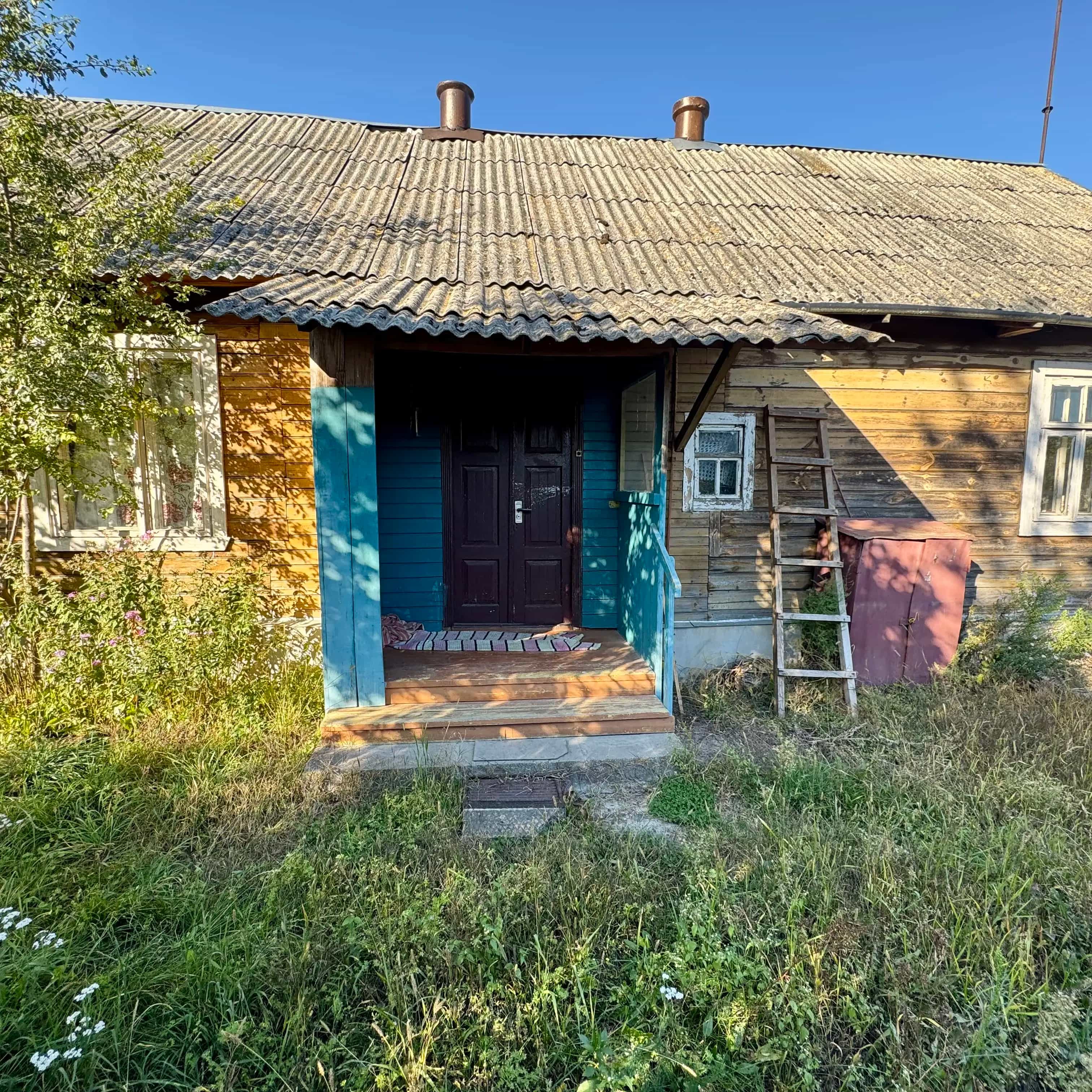 Беларусь, Брестская область, Дрогичинский район, городской посёлок Антополь, Революционная улица, 5, фото 8