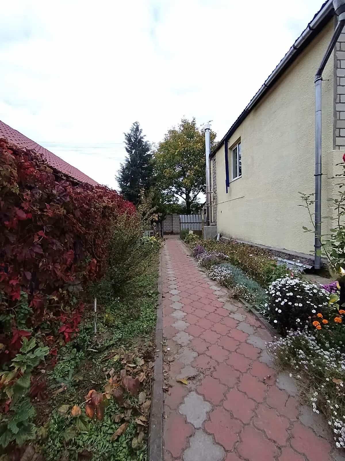 Беларусь, Гомельская область, Жлобин, улица 70 лет Победы, 31, фото 5