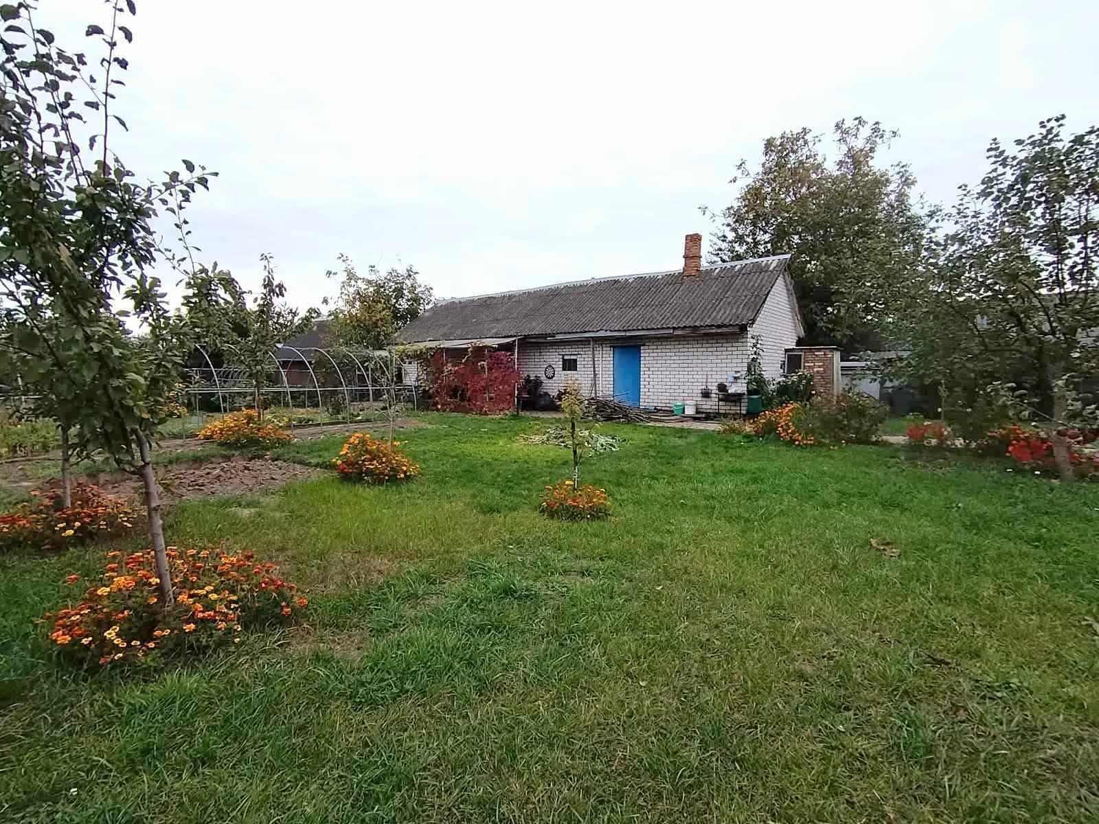 Беларусь, Гомельская область, Жлобин, улица 70 лет Победы, 31, фото 6