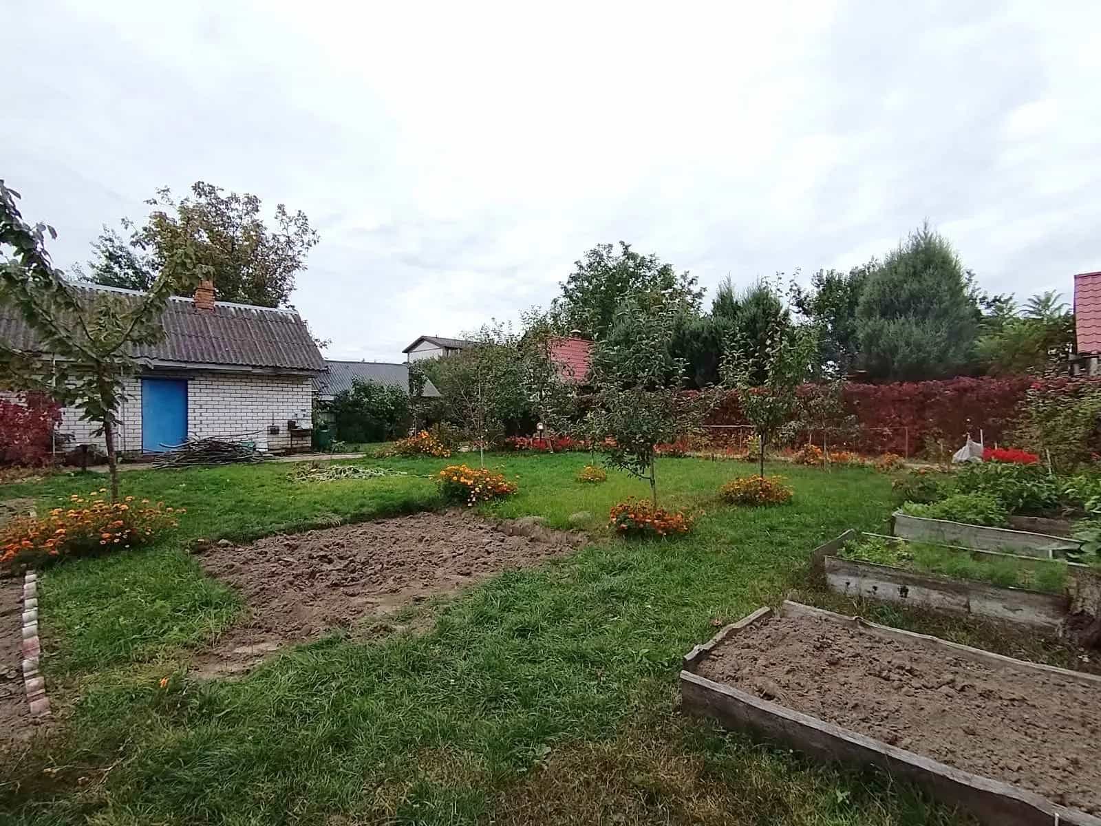 Беларусь, Гомельская область, Жлобин, улица 70 лет Победы, 31, фото 7