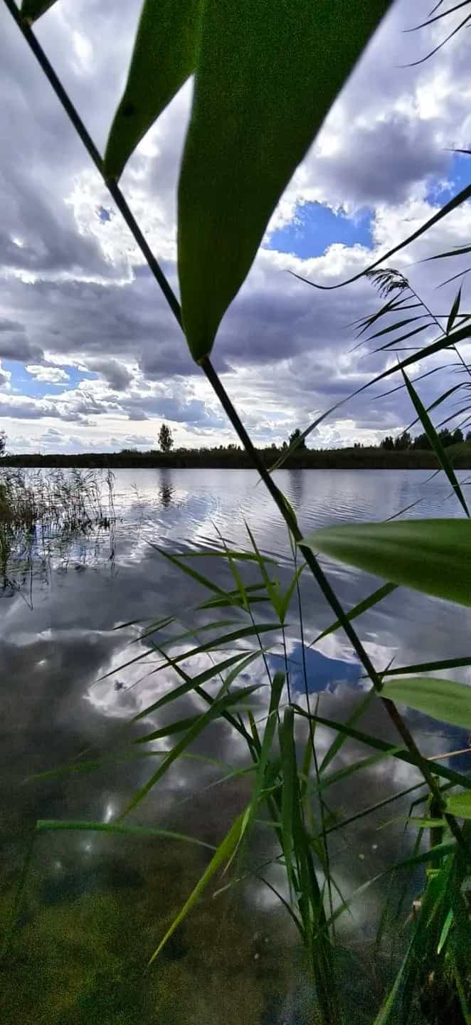 Беларусь, Гомельская область, Речицкий район, Борщёвский сельсовет, деревня Копань, Береговая улица, 5, фото 7