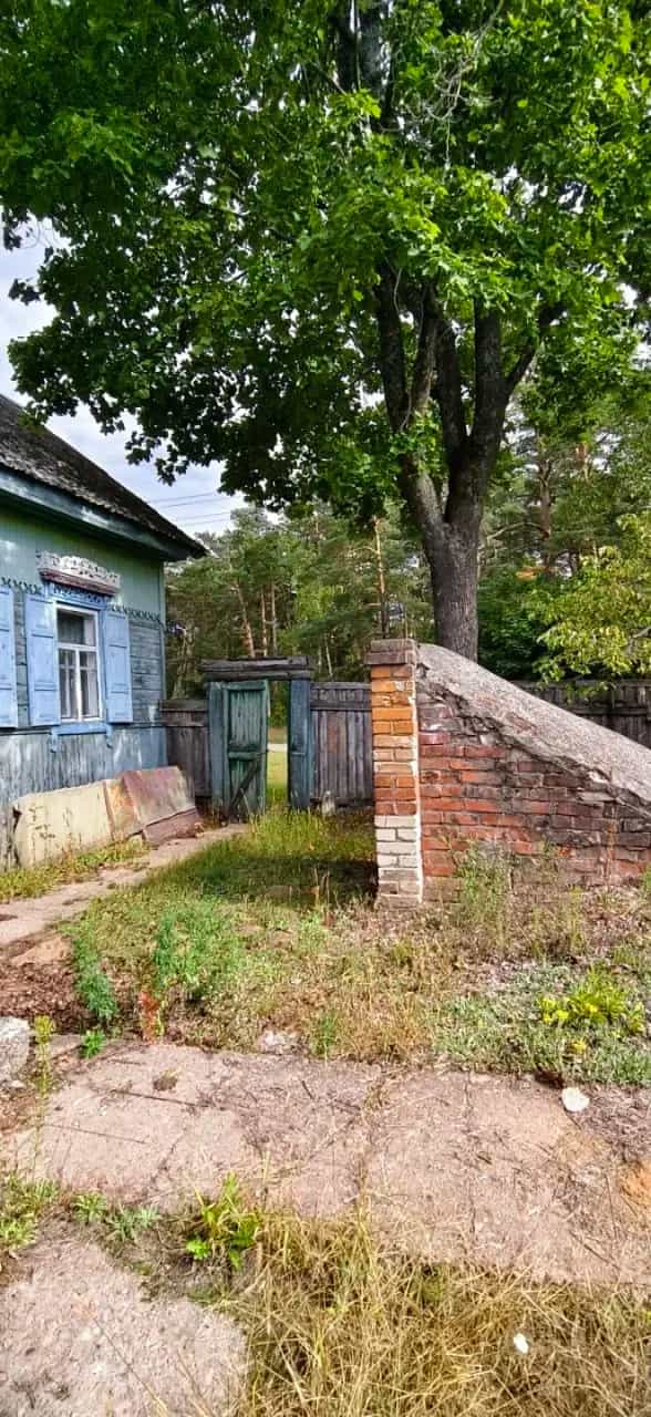 Беларусь, Гомельская область, Речицкий район, Борщёвский сельсовет, деревня Копань, Береговая улица, 5, фото 11
