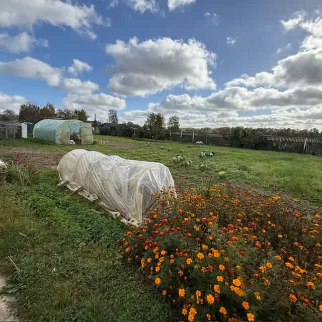 Беларусь, Витебская область, Оршанский район, Бабиничский сельсовет, деревня Румино, Садовый переулок, 132А, фото 12
