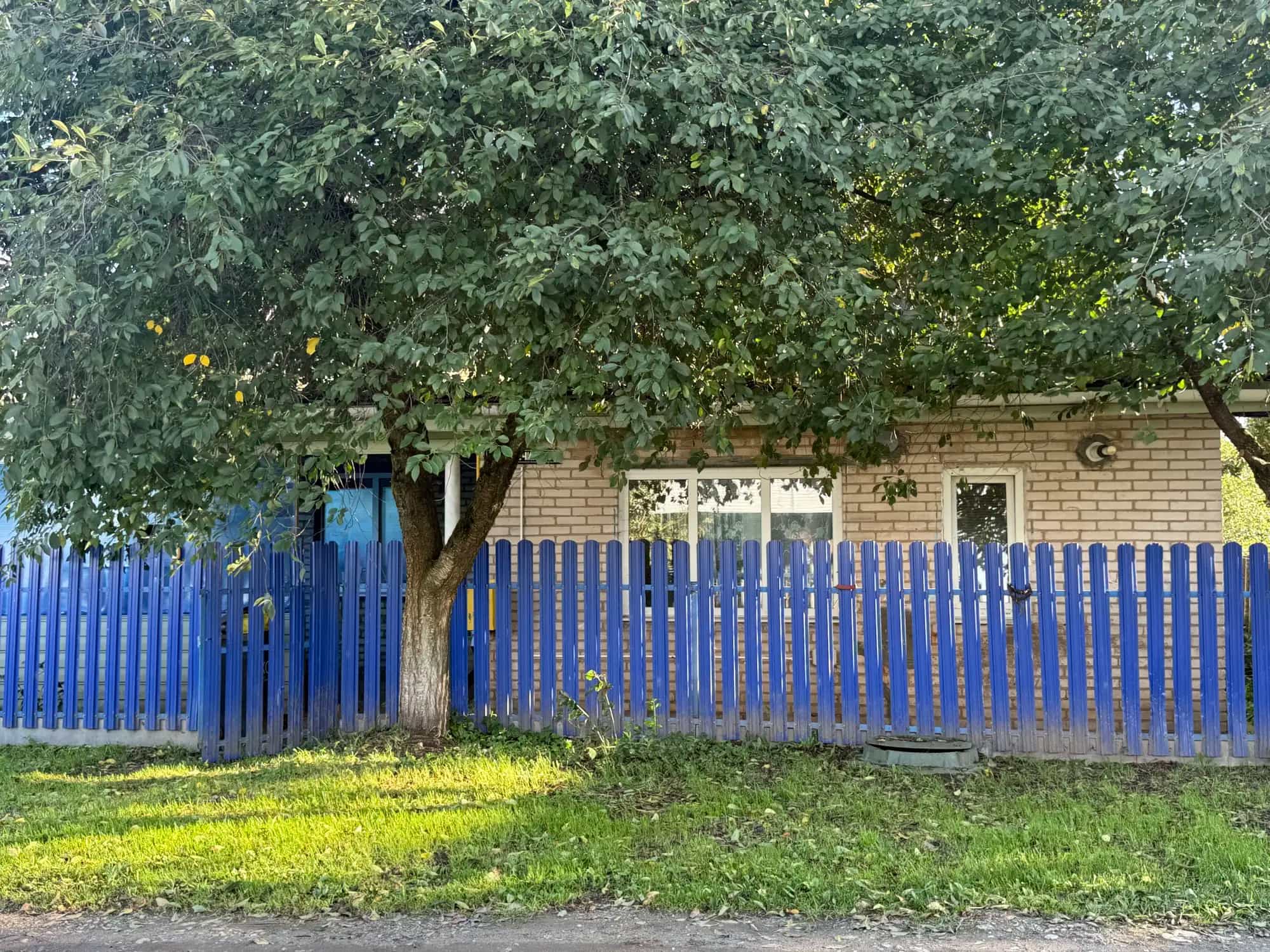 Беларусь, Витебская область, Орша, 1-й переулок Екатерины Гречихи, 11