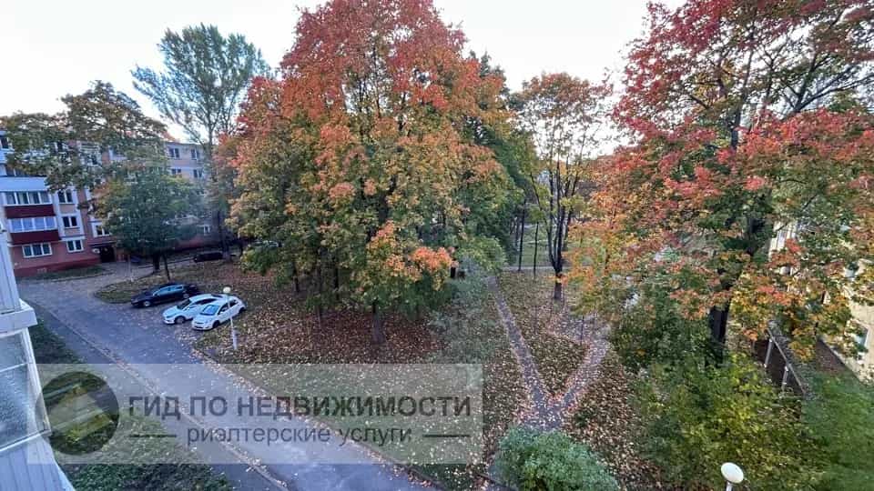 Беларусь, Гомель, Крайняя улица, 2, фото 14