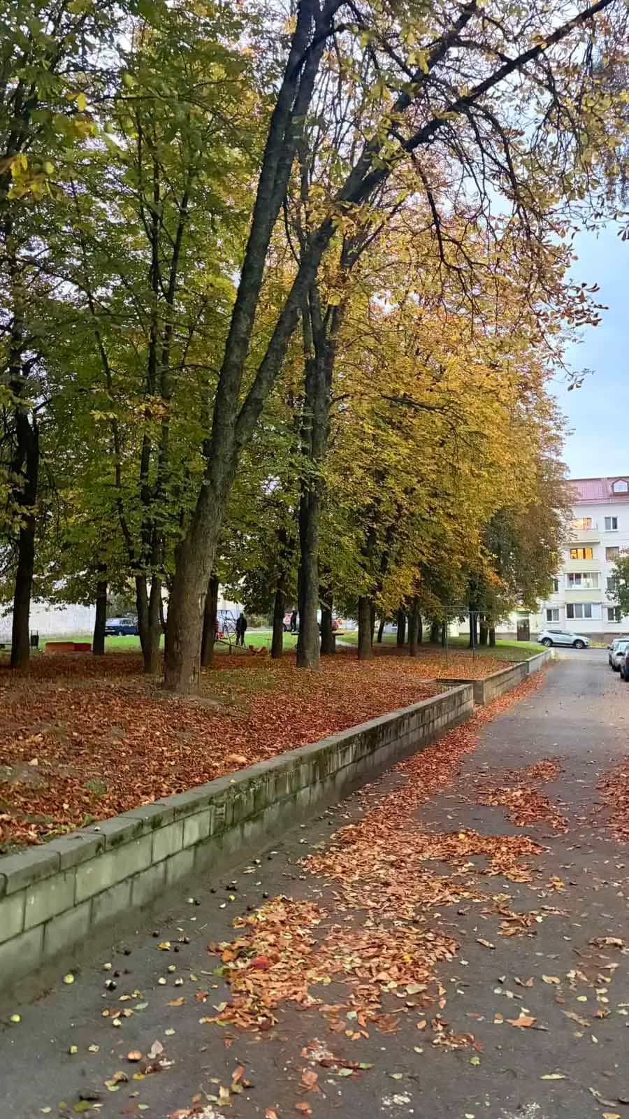 Беларусь, Минск, переулок Козлова, 12, фото 19
