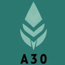 А30
