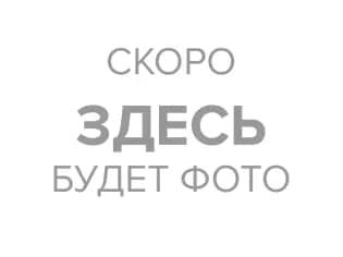 Твин реалт